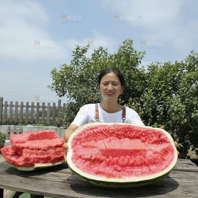 石头瓜