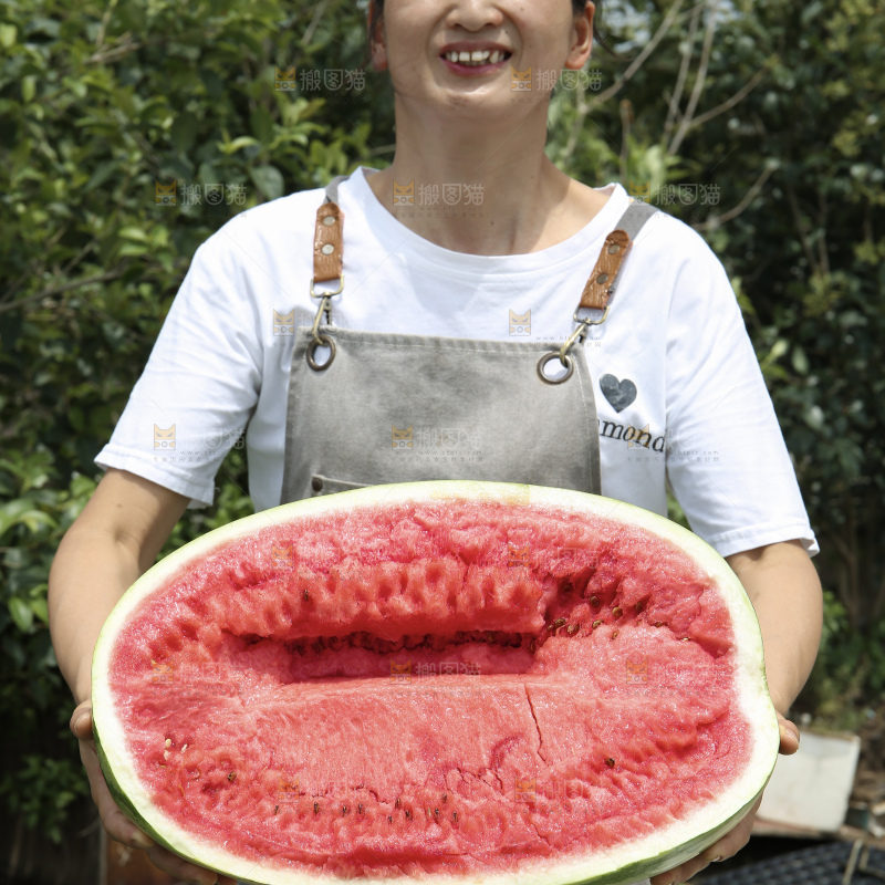 石头瓜