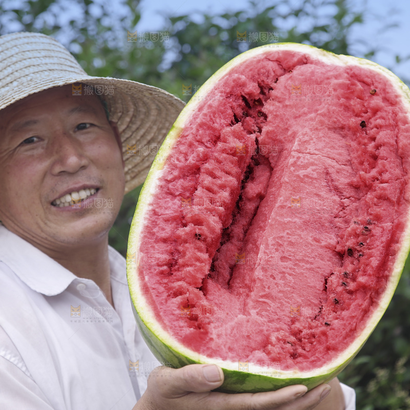 石头瓜