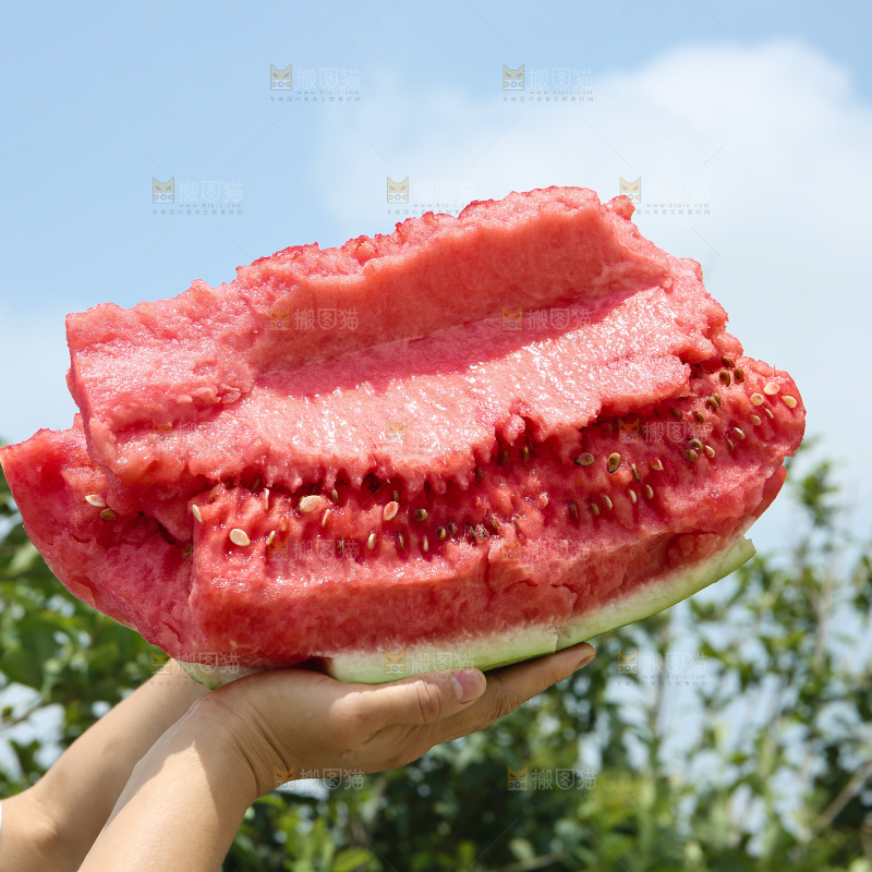 石头瓜