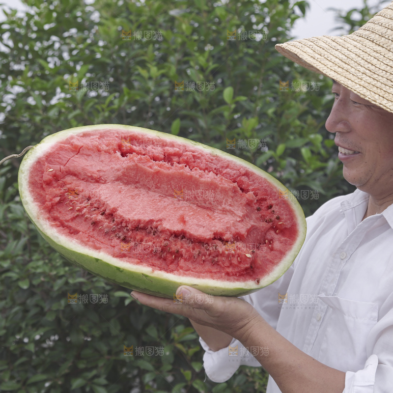 石头瓜