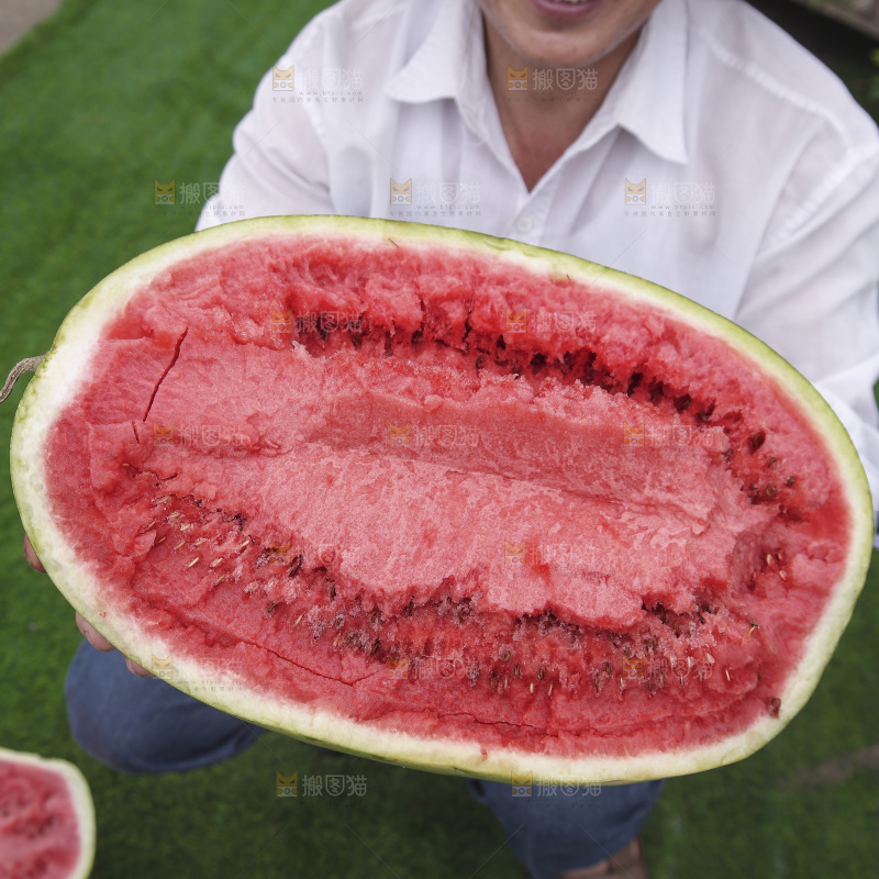 石头瓜