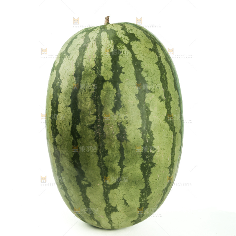 石头瓜
