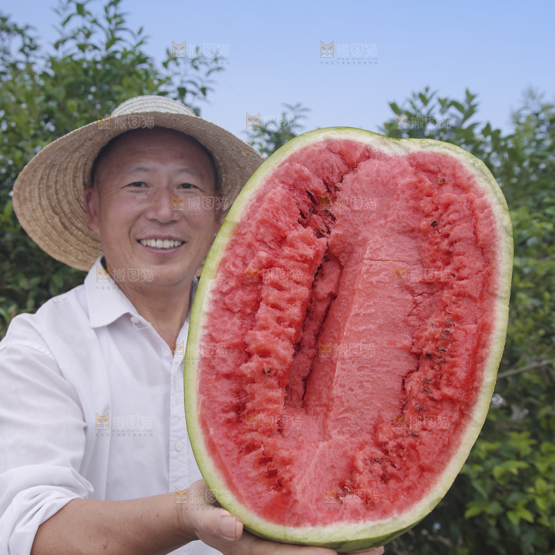 石头瓜