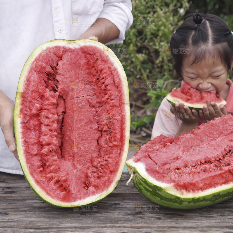 石头瓜