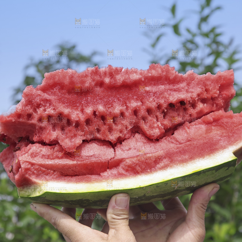石头瓜