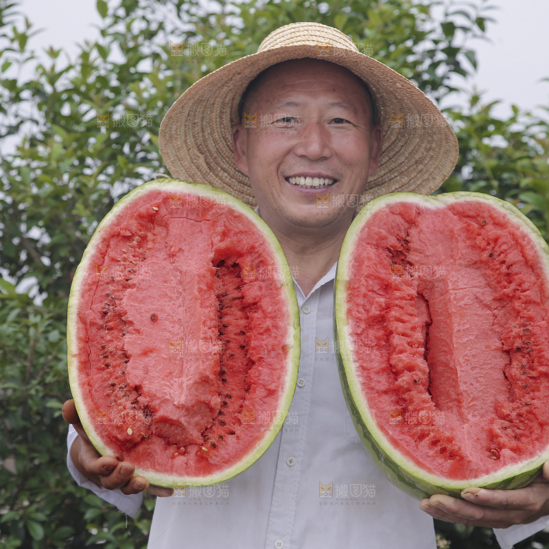 石头瓜