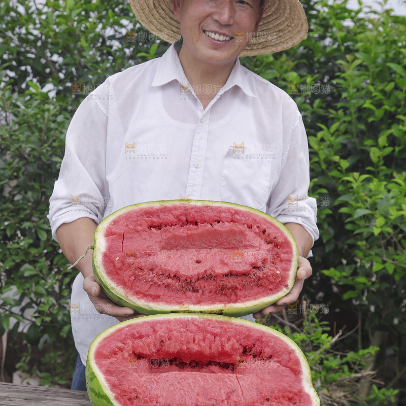 石头瓜