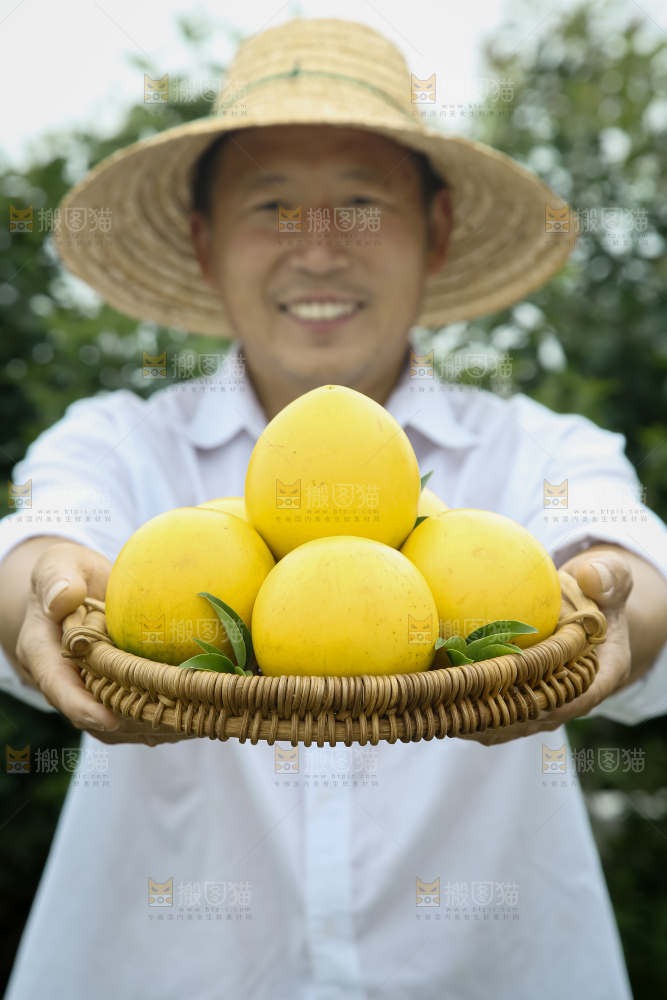 黄晶果