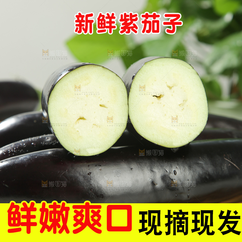 紫茄子