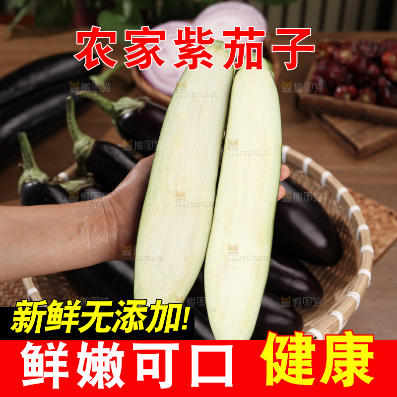紫茄子
