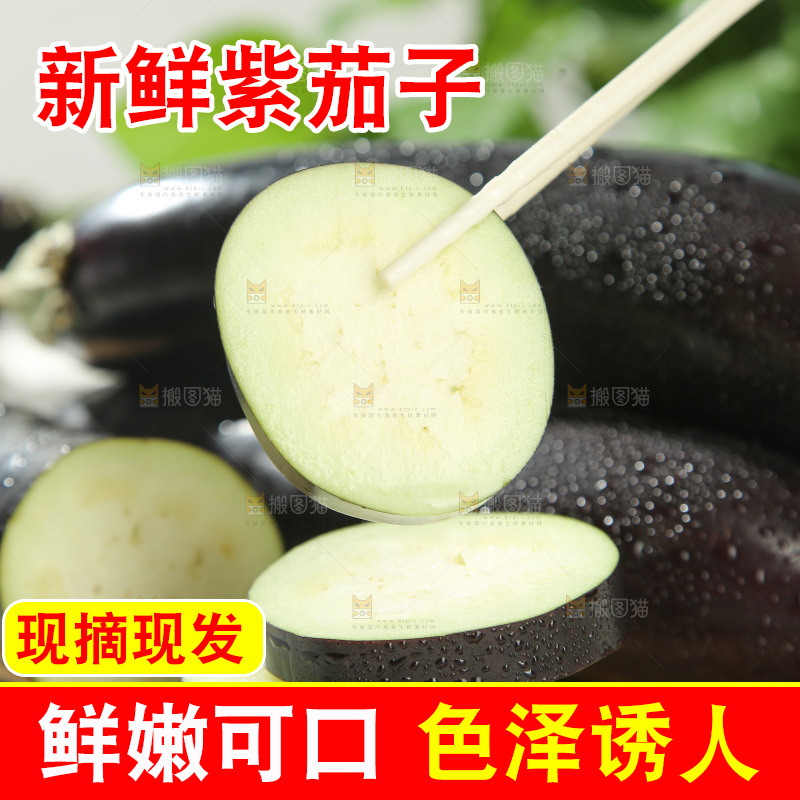 紫茄子