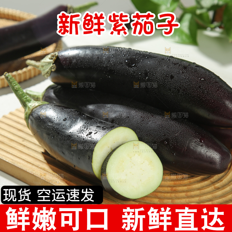 紫茄子