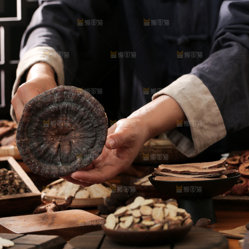 灵芝