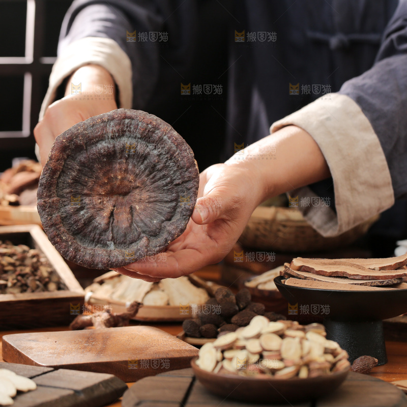 灵芝