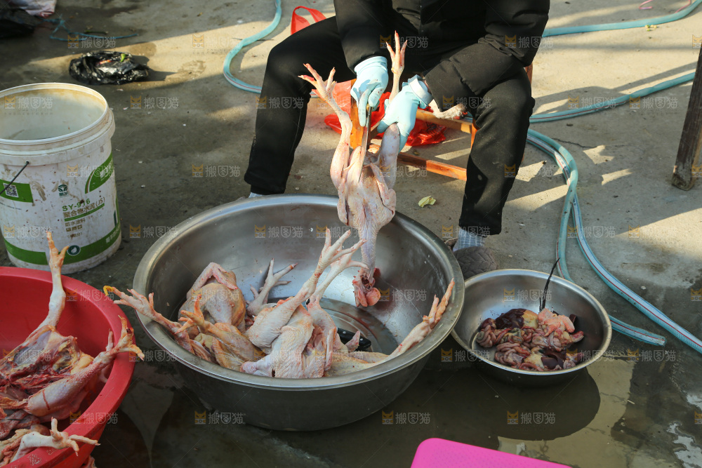 鸡肉