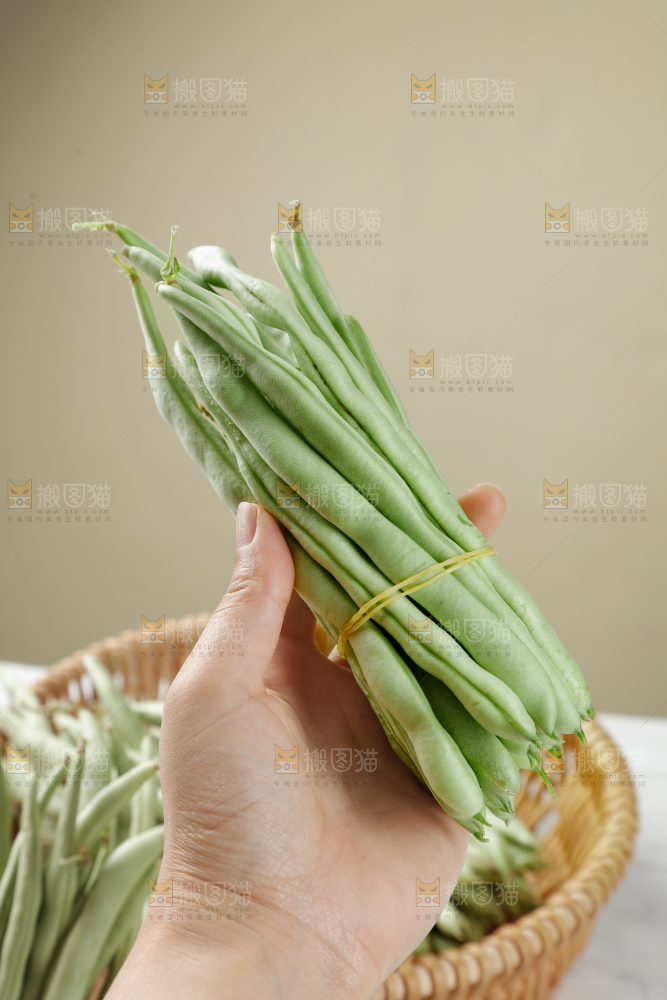 四季豆