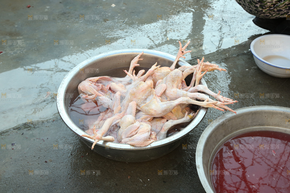 鸡肉