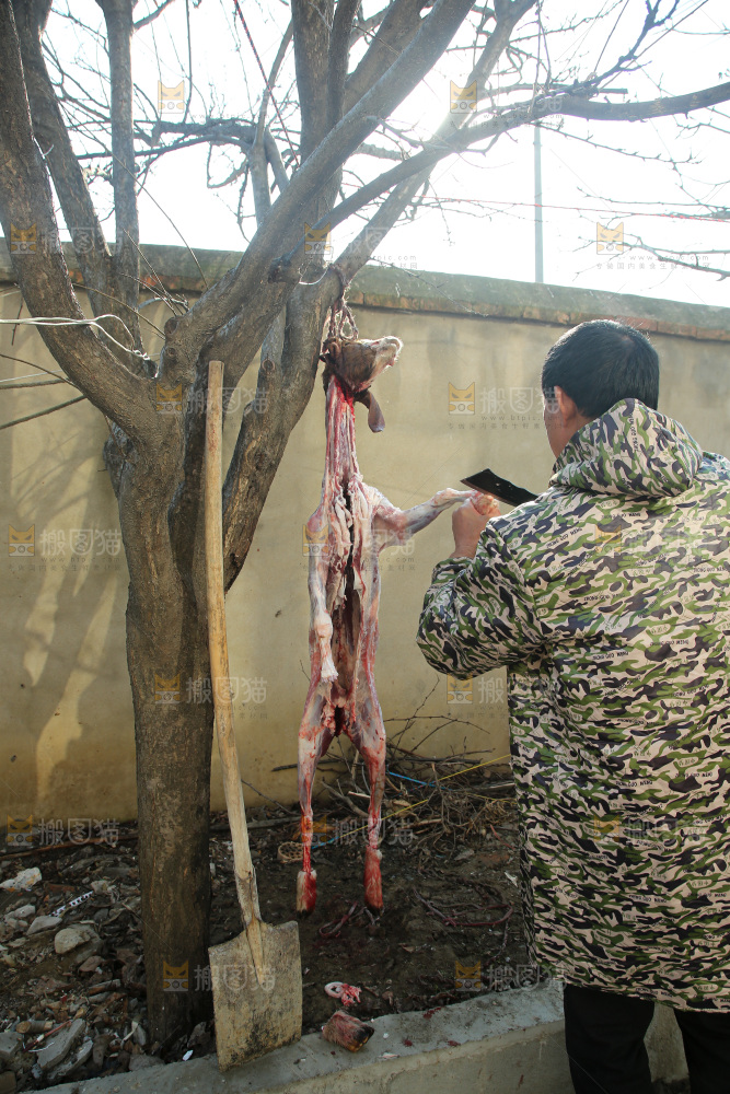 羊肉