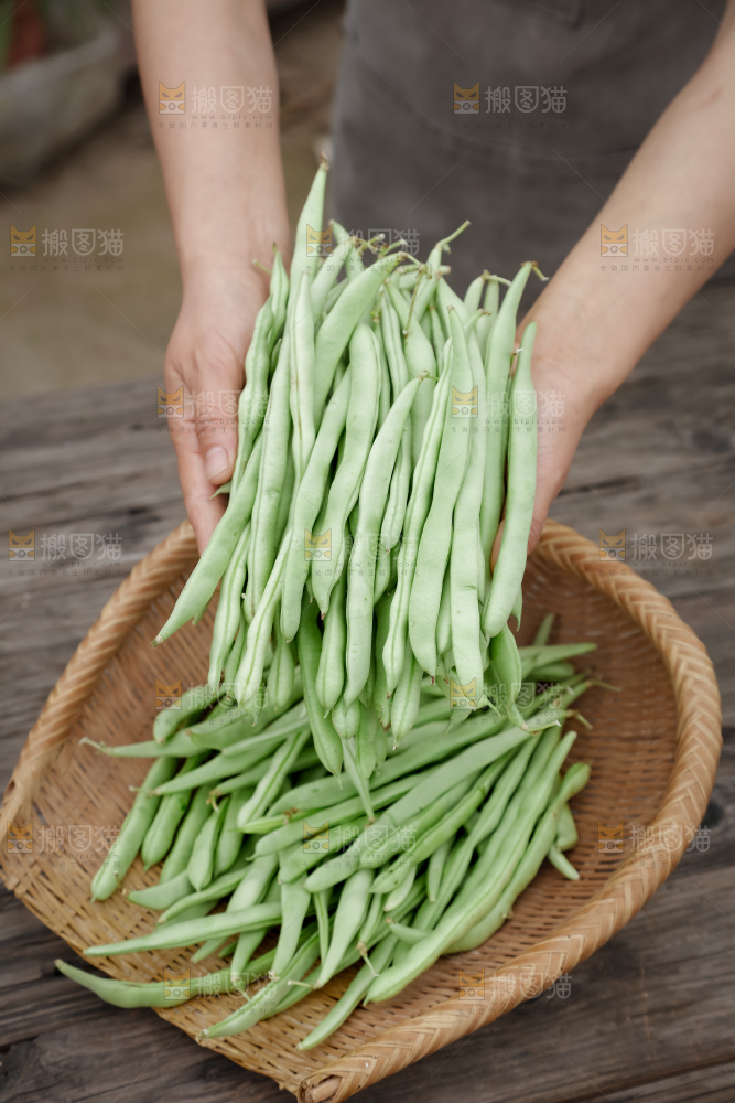 四季豆