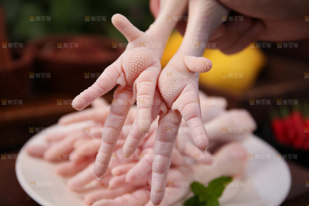 鸡爪