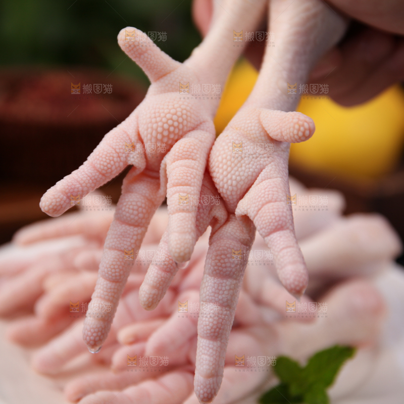 鸡爪