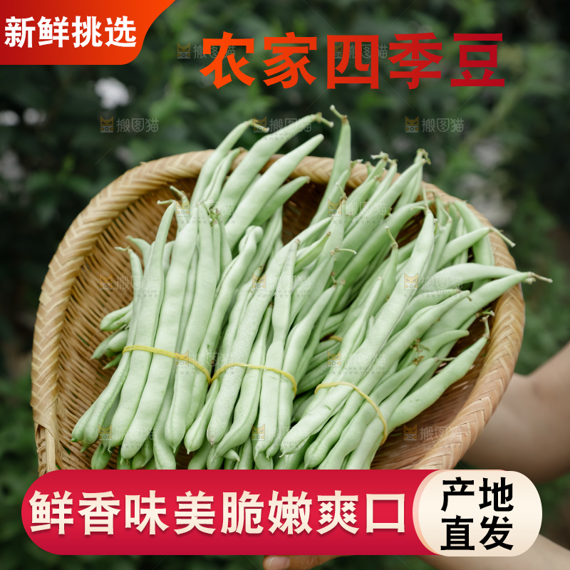 四季豆