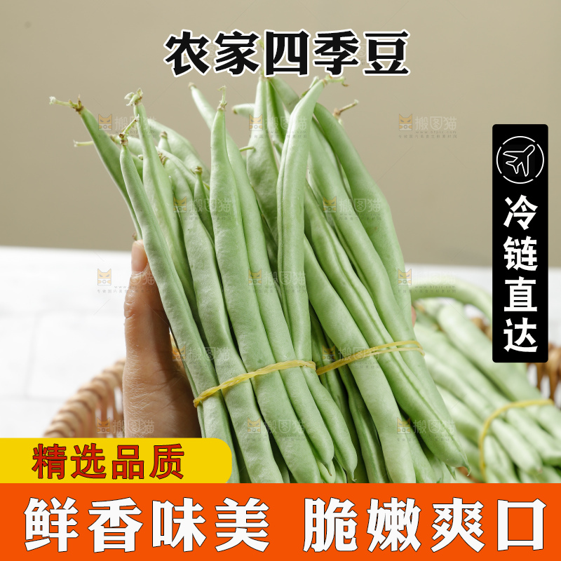 四季豆