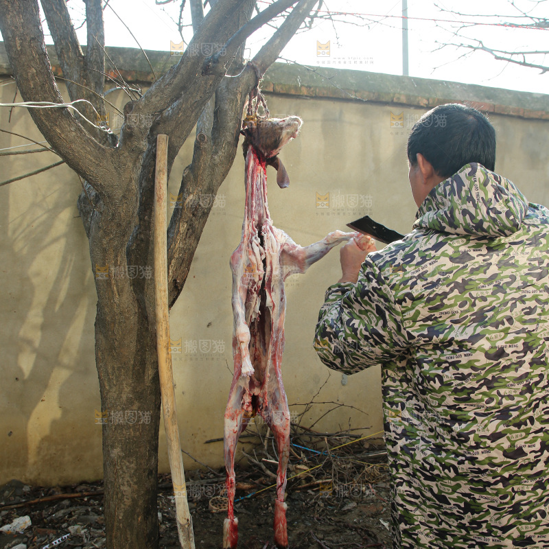 羊肉
