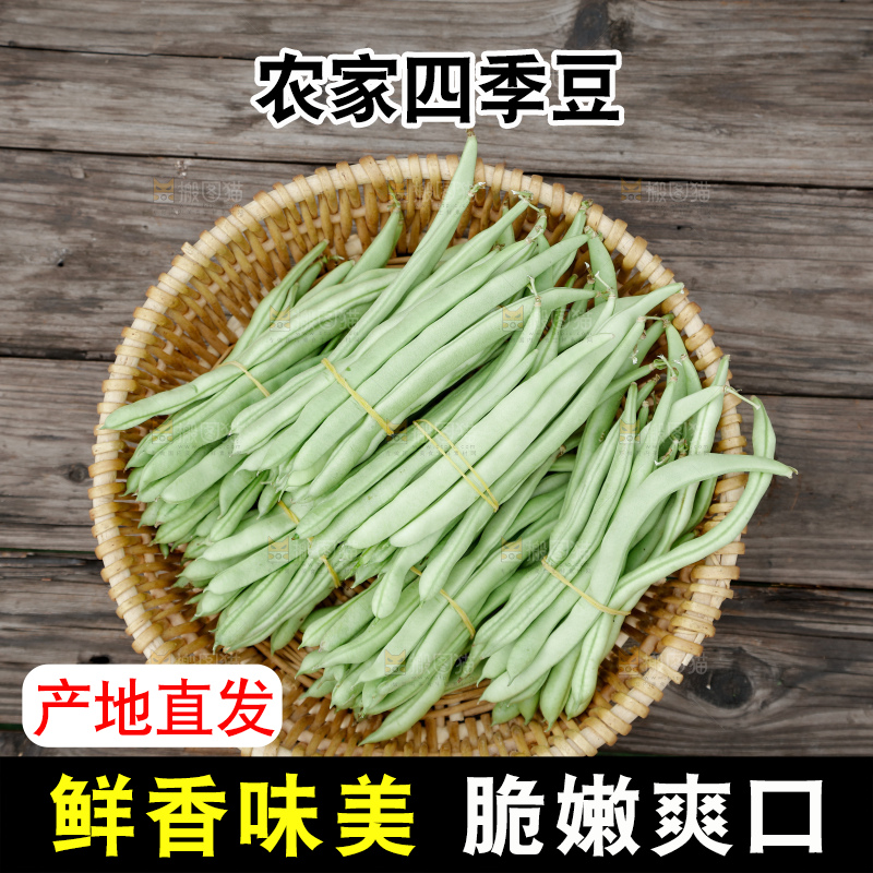 四季豆