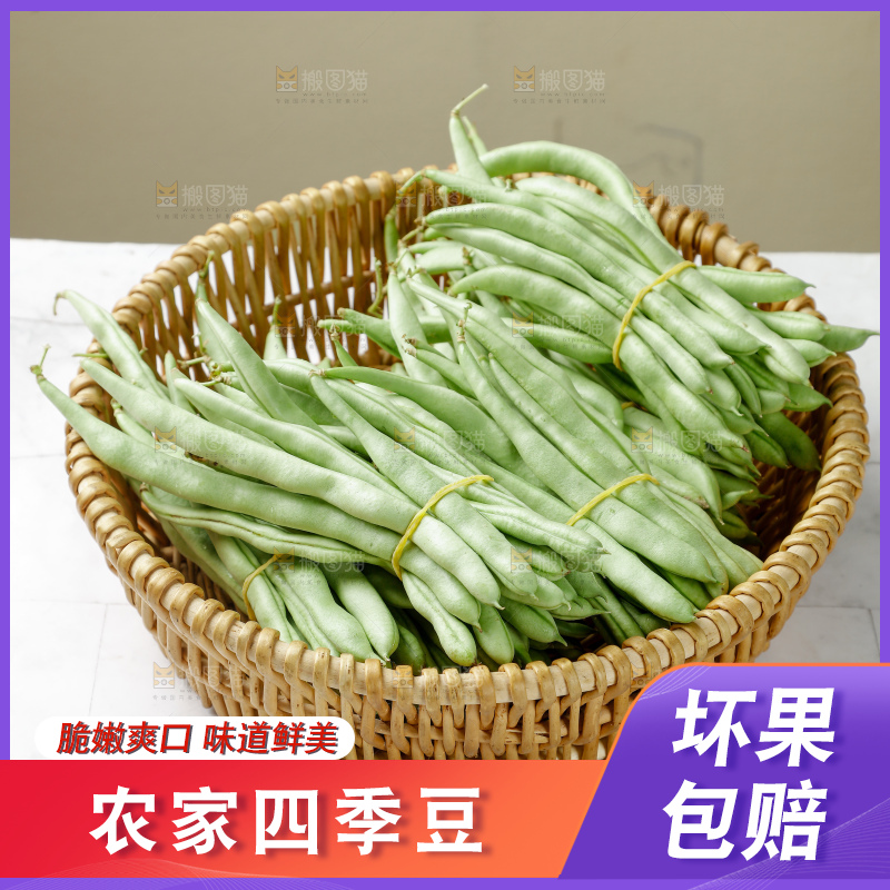 四季豆