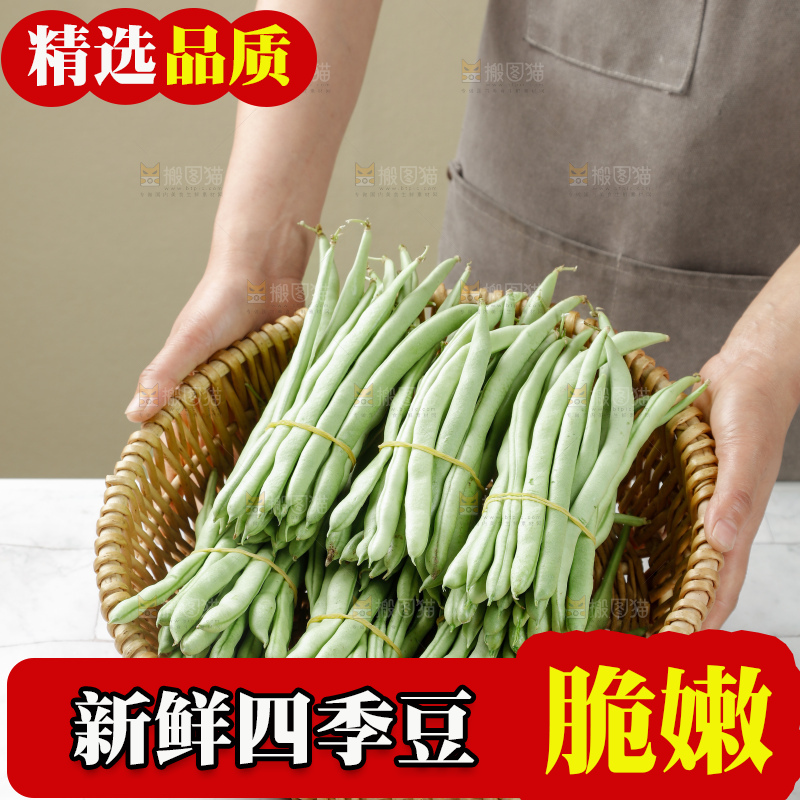 四季豆