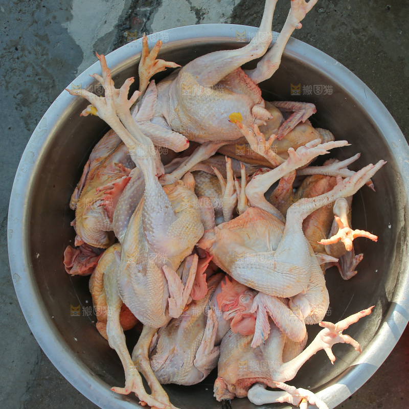 鸡肉