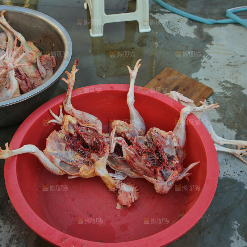 鸡肉