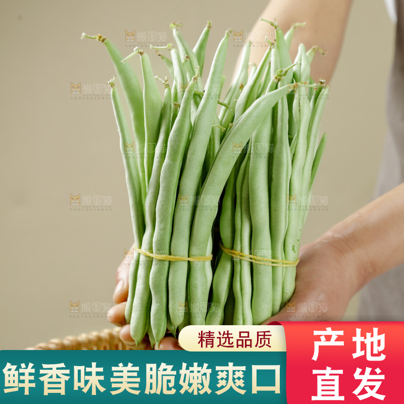 四季豆