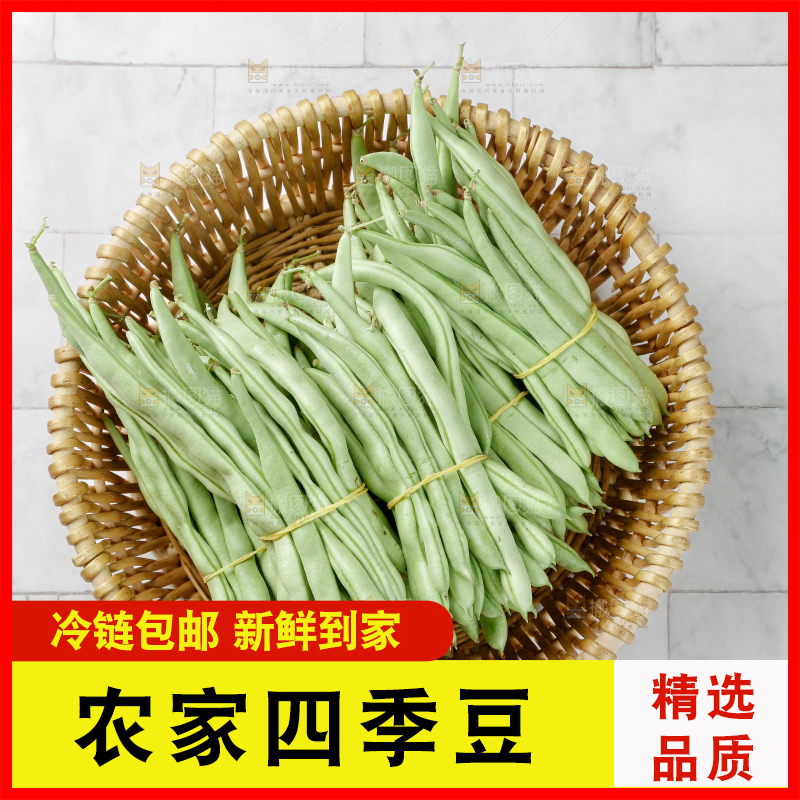 四季豆