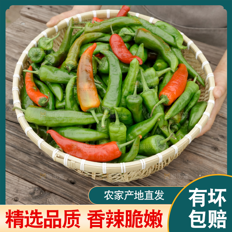 青椒
