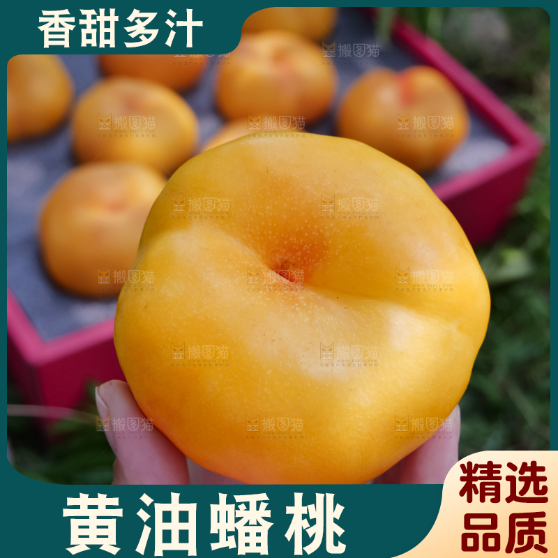黄油蟠桃