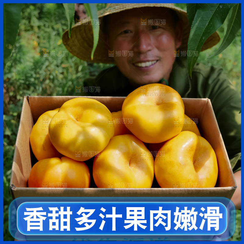 黄油蟠桃