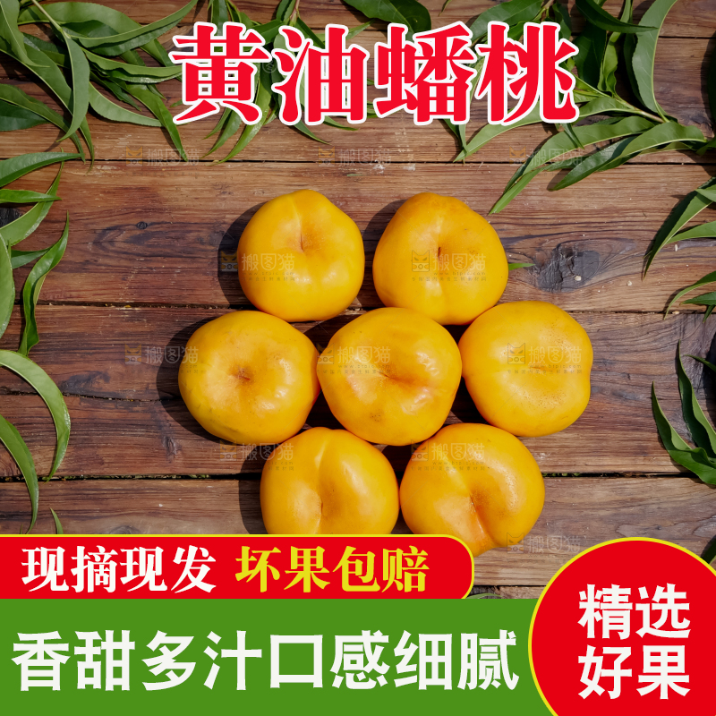 黄油蟠桃