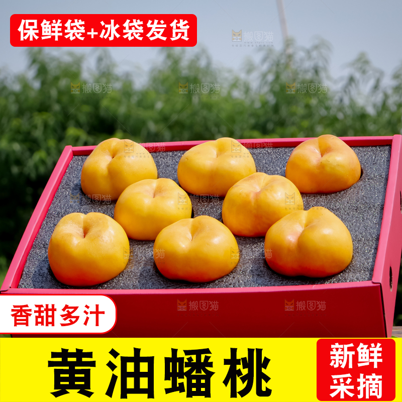 黄油蟠桃