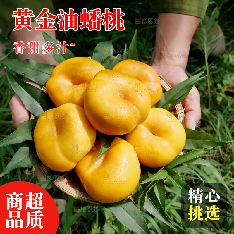 黄油蟠桃