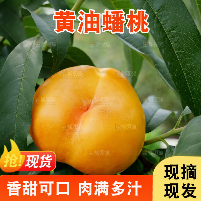 黄油蟠桃
