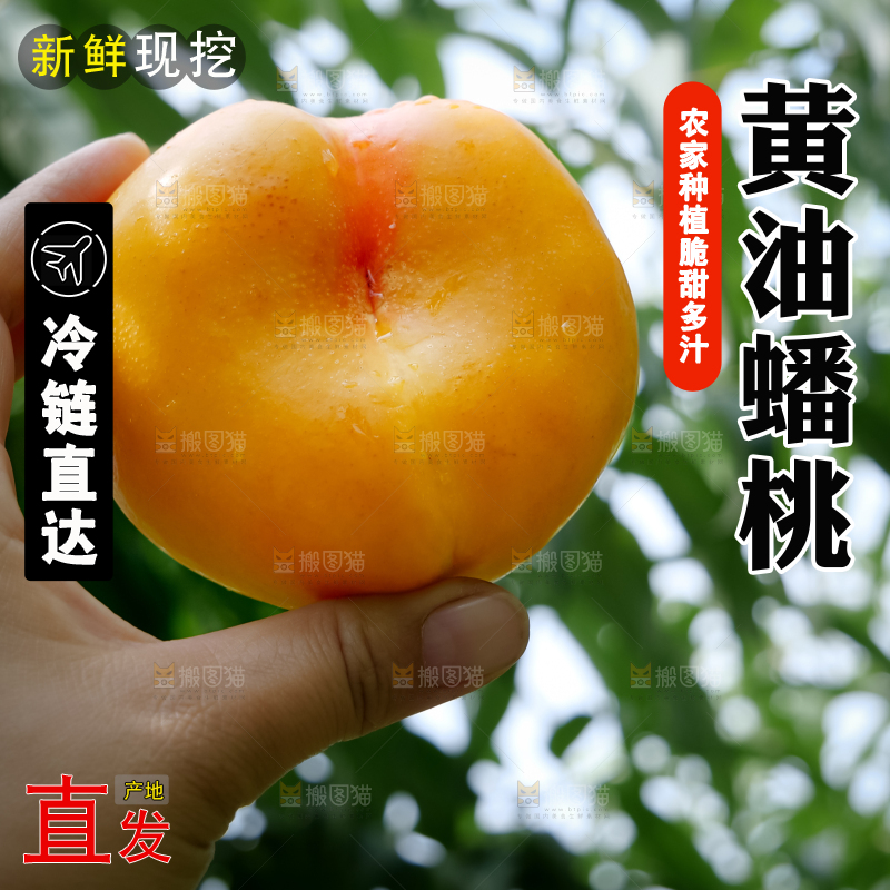 黄油蟠桃