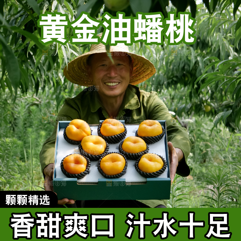 黄油蟠桃