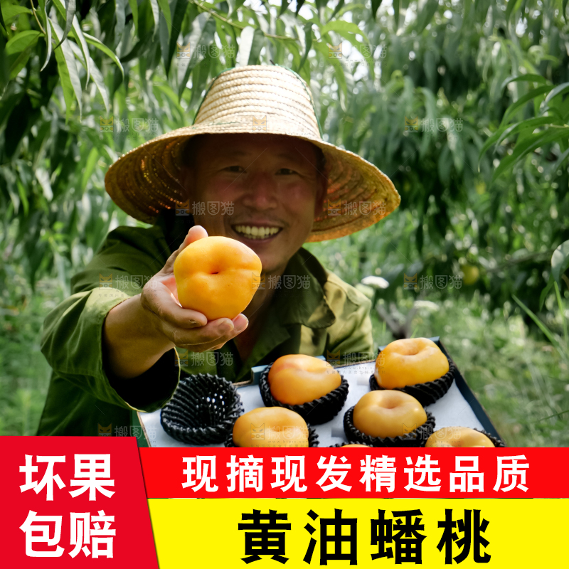 黄油蟠桃