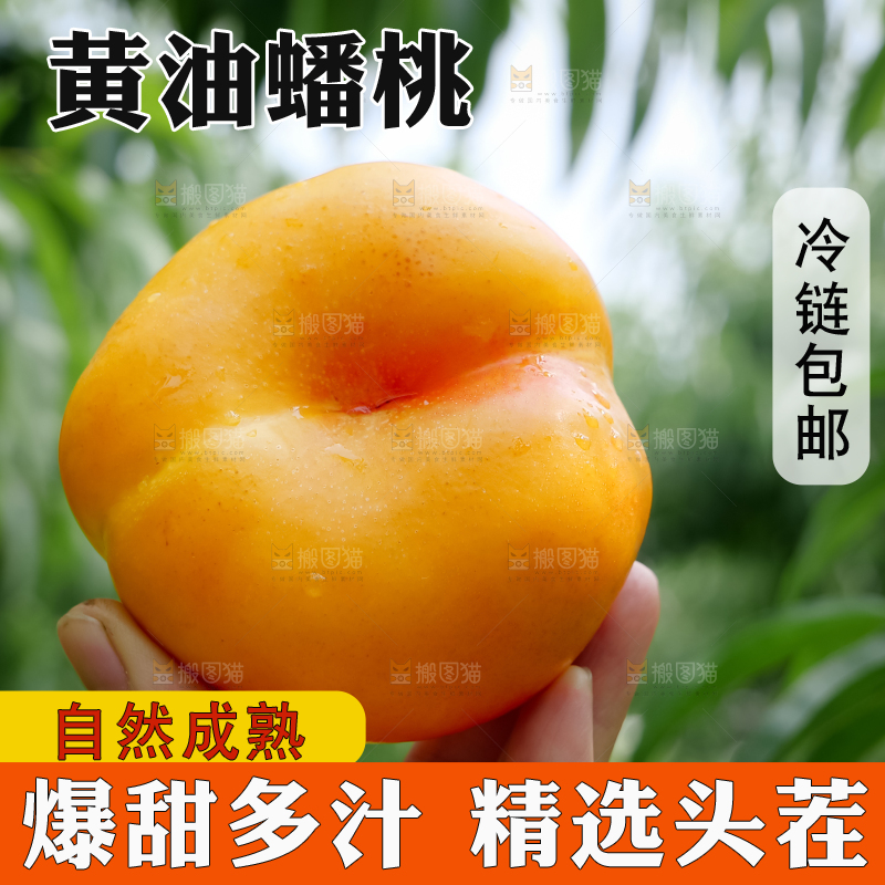 黄油蟠桃