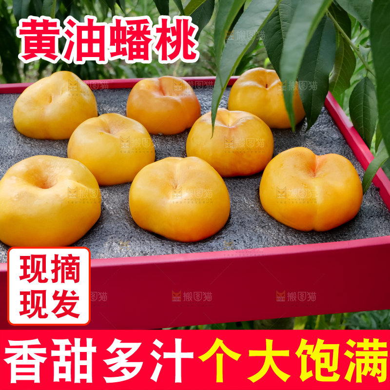 黄油蟠桃