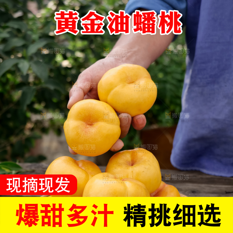 黄油蟠桃