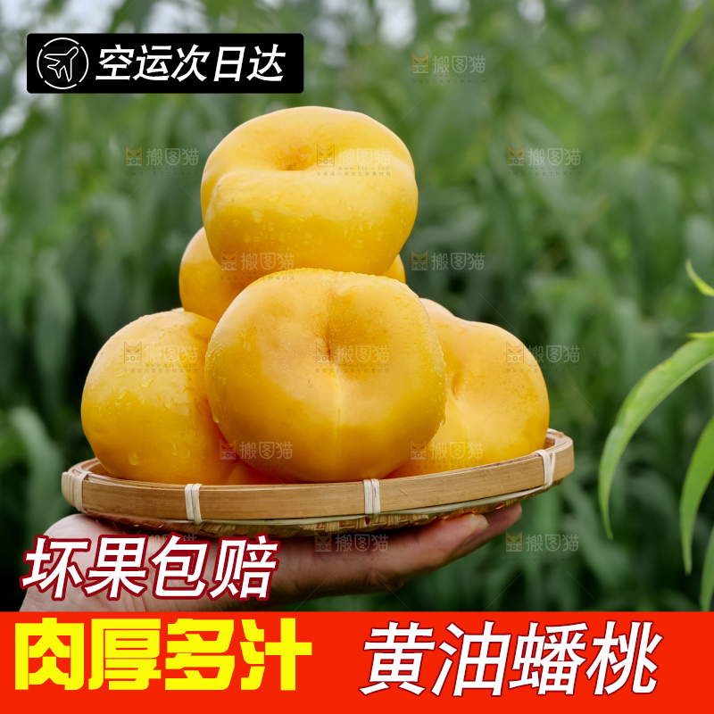 黄油蟠桃